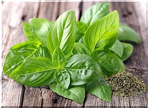 You can easily use the properties of basil when preparing home remedies.