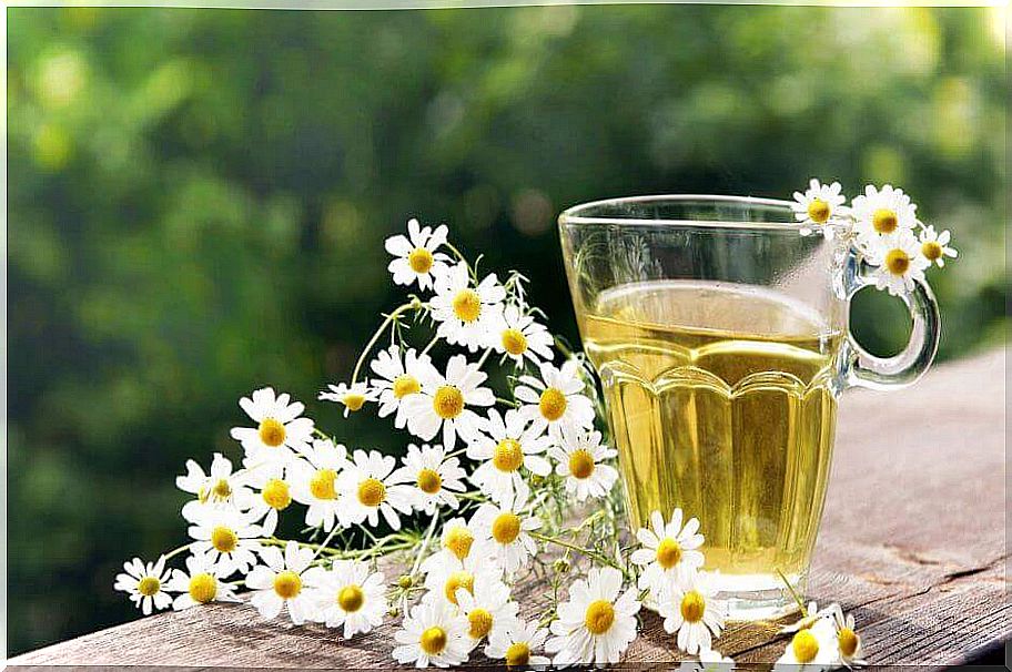 Chamomile infusion