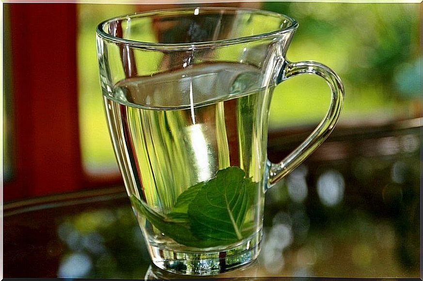 Basil leaf infusion