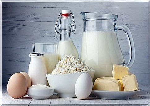 Dairy products - dairy products