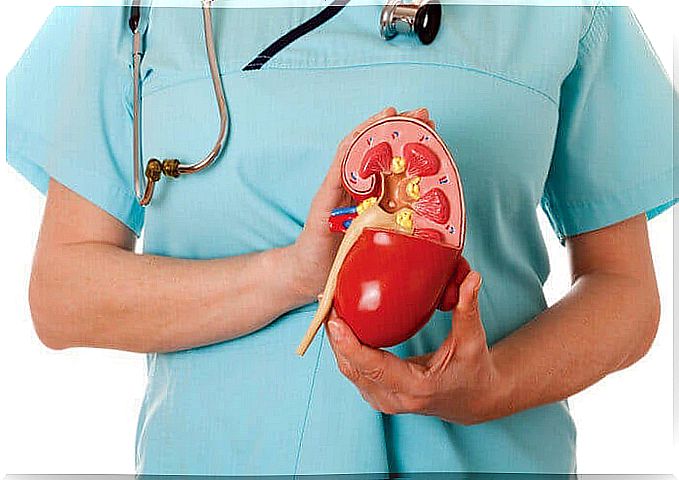 The kidneys are one of the organs you don't need