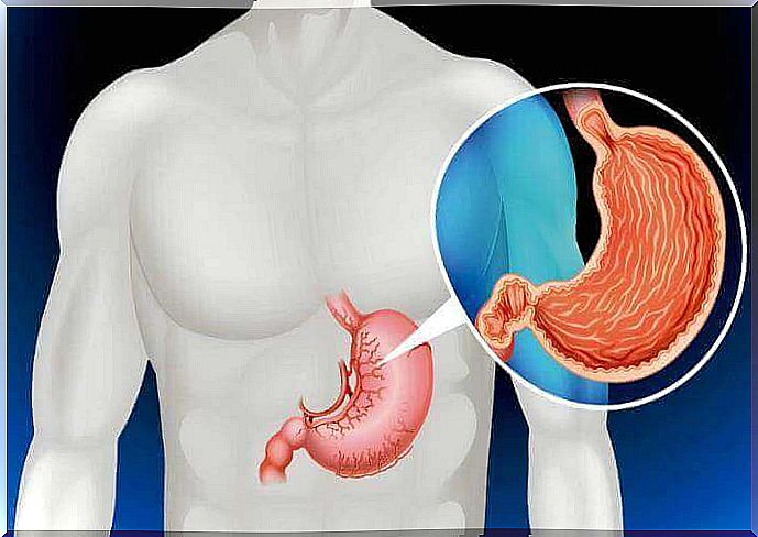 The stomach is one of the organs you don't need