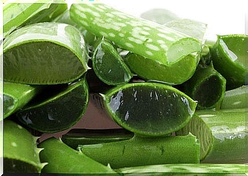 Aloe vera cut into pieces