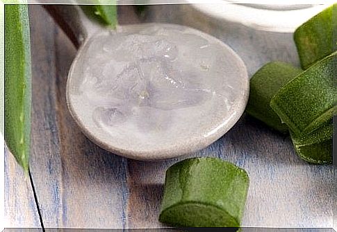 Aloe Vera Gel - 8 Fantastic Health Benefits