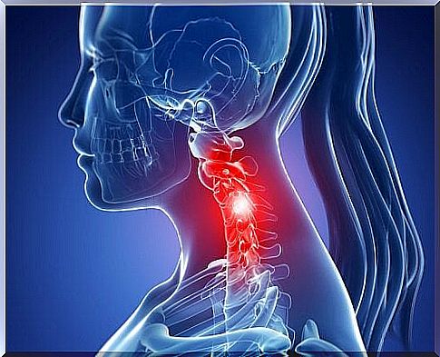 Cervical vertebrae and back pain