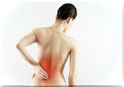 Back pain in the lumbar region