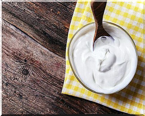 homemade Greek yogurt