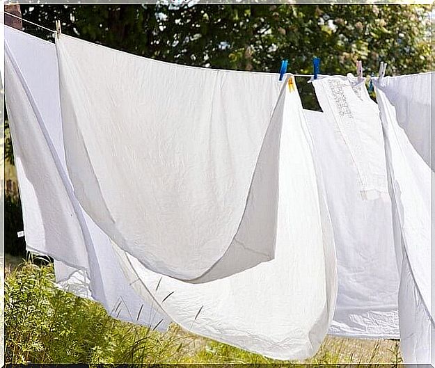 Fresh linen is air dried