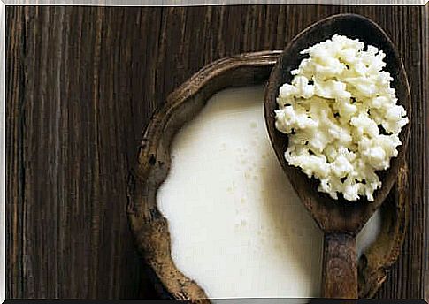 Kefir - the process of creation