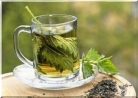 Nettle tea