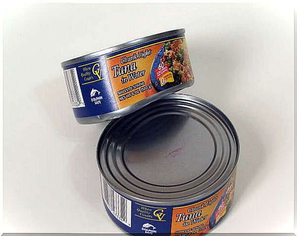 Canned tuna - canned food