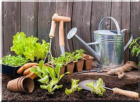 City garden - tools