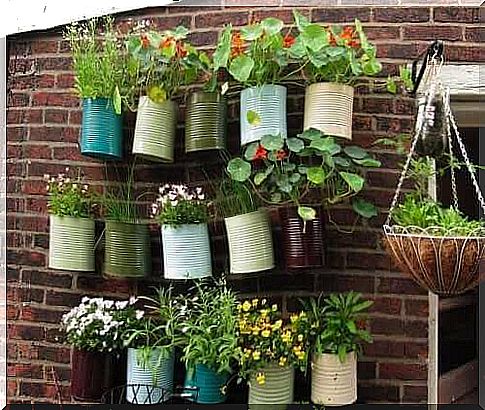 Vertical garden