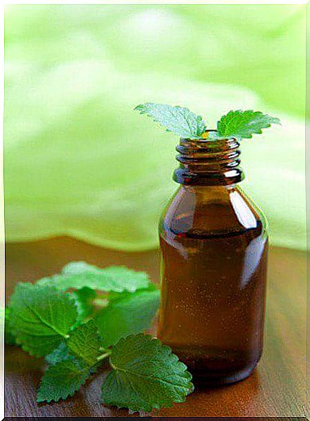 Vinegar and mint