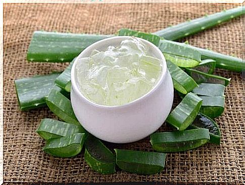 aloe vera in a cup