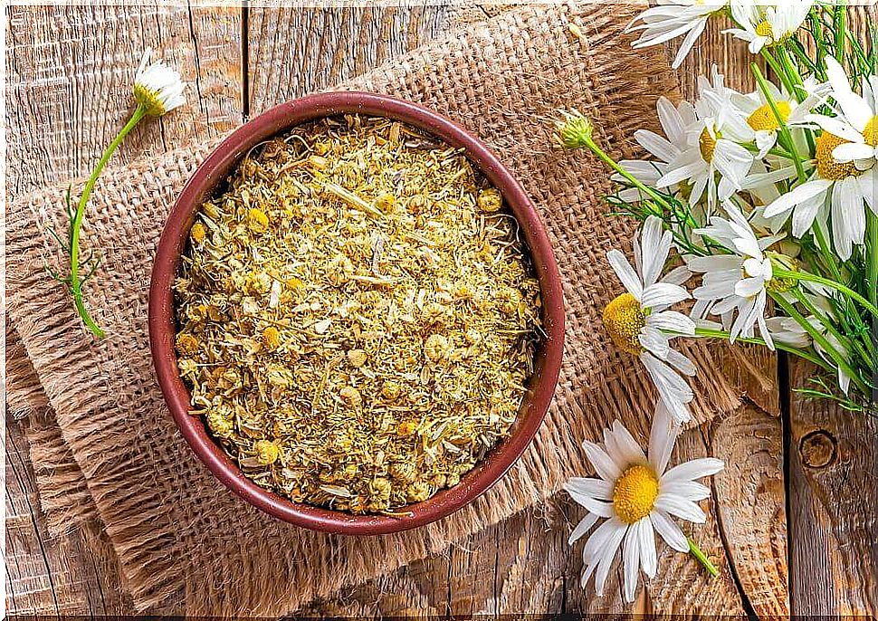 Chamomile flowers.