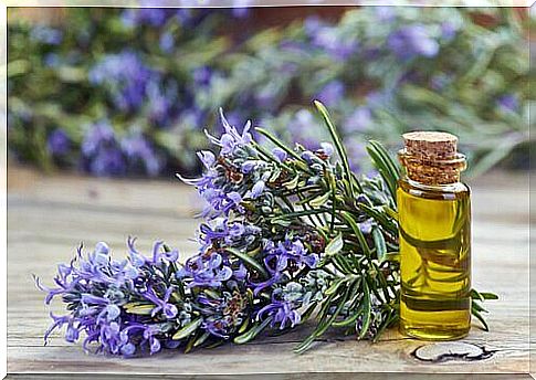 Rosemary essential oil