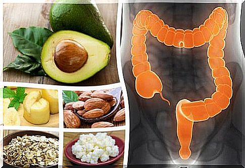 A healthy gut - 3 essential steps