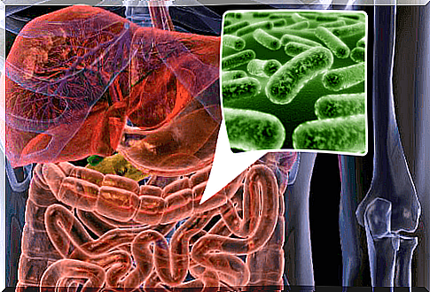 Gut flora and gut health