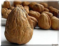 Walnut