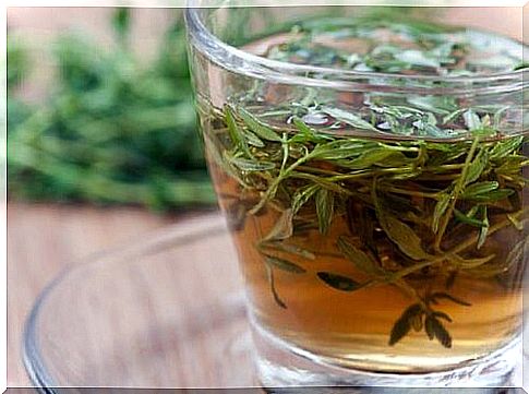 Thyme infusion for hair growth