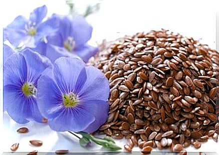 Linseed