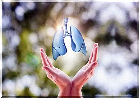 Healthy lungs in your hand and Lung cancer