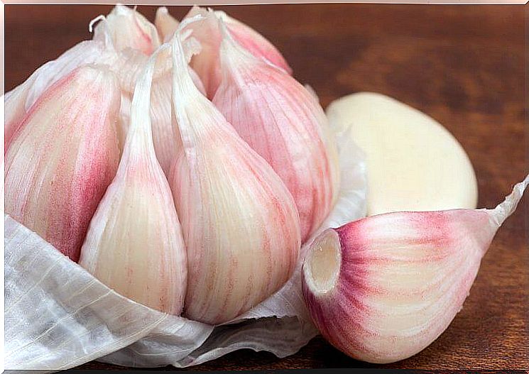 Garlic - a method for calluses