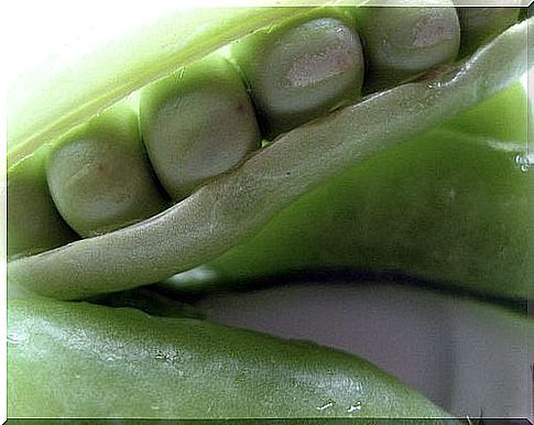 Fresh green peas