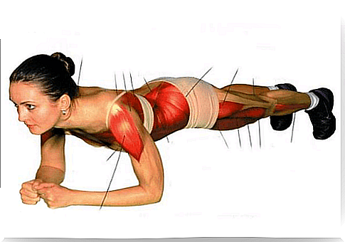 PLANK exercise - strengthen the whole body!