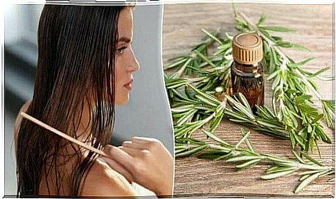 Rosemary for hair?  - A cosmetic that works wonders