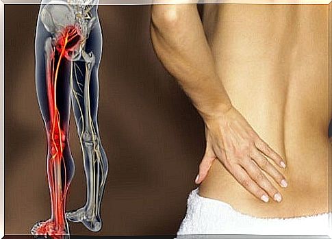 Sciatica causes lower back pain