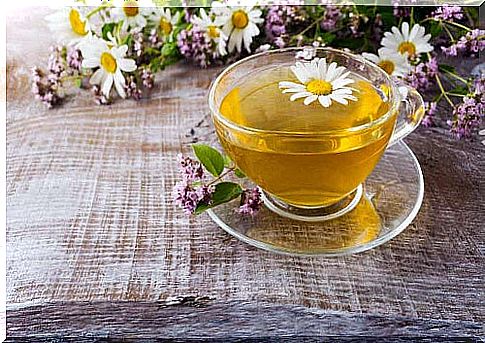 Chamomile infusion