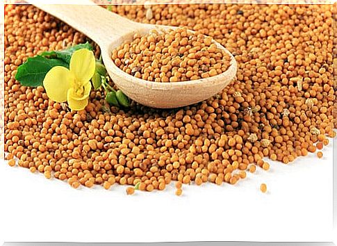 Mustard seed - the best seeds for weight loss