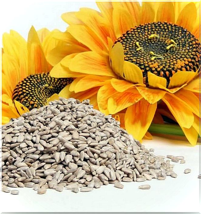 Flower and sunflower seeds